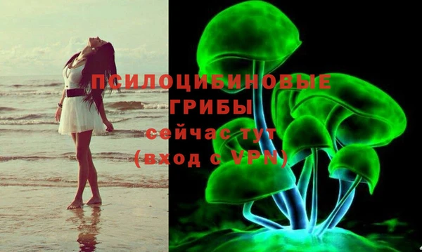 дживик Медвежьегорск