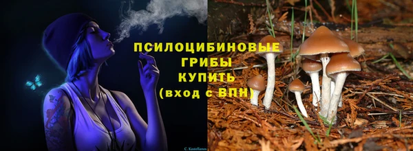 таблы Мегион