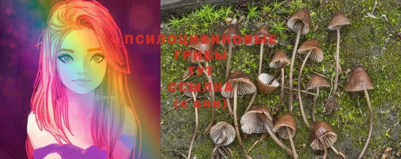 даркнет официальный сайт  Десногорск  Псилоцибиновые грибы Psilocybine cubensis 