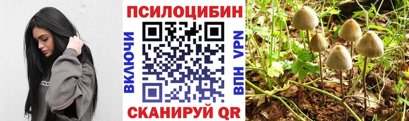 Псилоцибиновые грибы MAGIC MUSHROOMS  Десногорск 