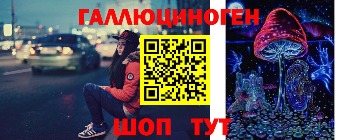 Галлюциногенные грибы Psilocybe  наркошоп  Десногорск  Галлюциногенные грибы Psilocybe 