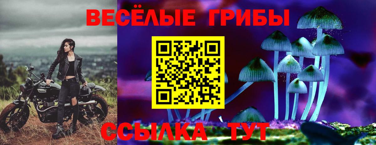 Меф  Конопля  APVP  Канабис  Десногорск  Вход с VPN  Мефедрон  ГАШИШ  КОКАИН 
